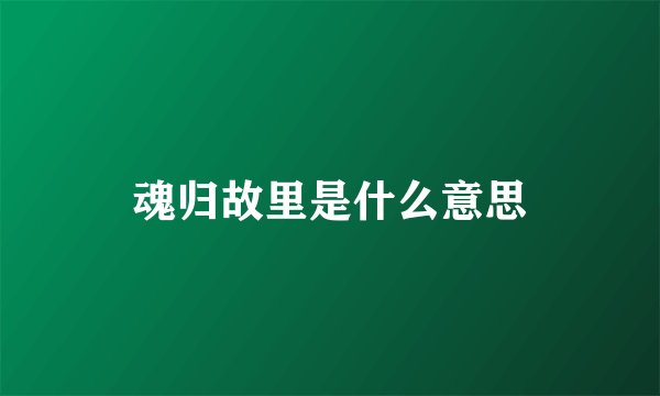魂归故里是什么意思