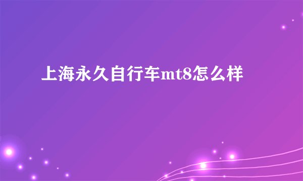 上海永久自行车mt8怎么样
