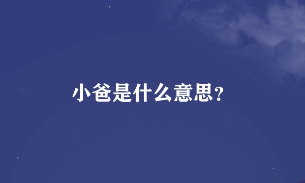 小爸是什么意思？