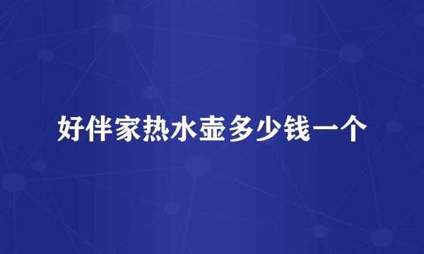 好伴家热水壶多少钱一个