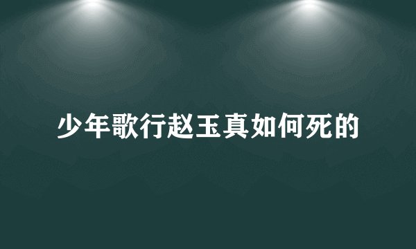 少年歌行赵玉真如何死的