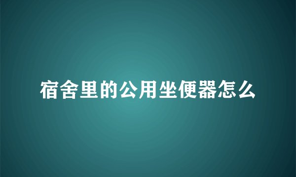 宿舍里的公用坐便器怎么