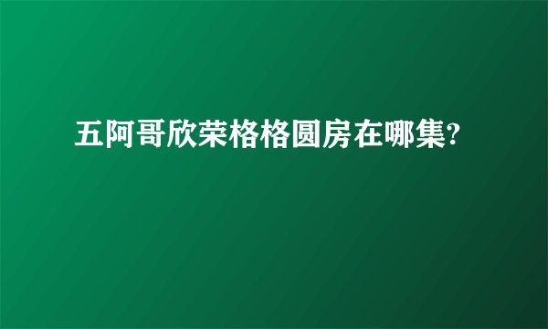 五阿哥欣荣格格圆房在哪集?