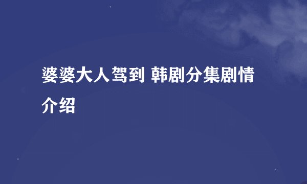 婆婆大人驾到 韩剧分集剧情介绍
