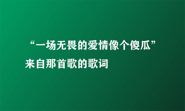 “一场无畏的爱情像个傻瓜”来自那首歌的歌词