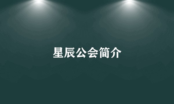 星辰公会简介