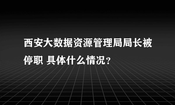 西安大数据资源管理局局长被停职 具体什么情况？