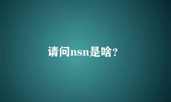 请问nsn是啥？
