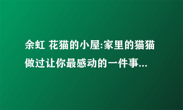 余虹 花猫的小屋:家里的猫猫做过让你最感动的一件事是什么？