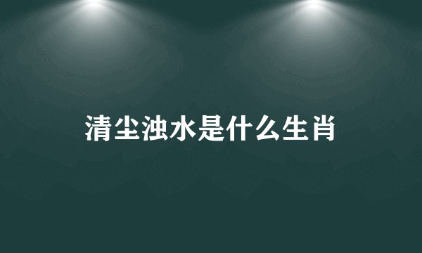清尘浊水是什么生肖