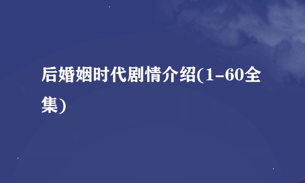 后婚姻时代剧情介绍(1-60全集)