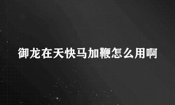 御龙在天快马加鞭怎么用啊