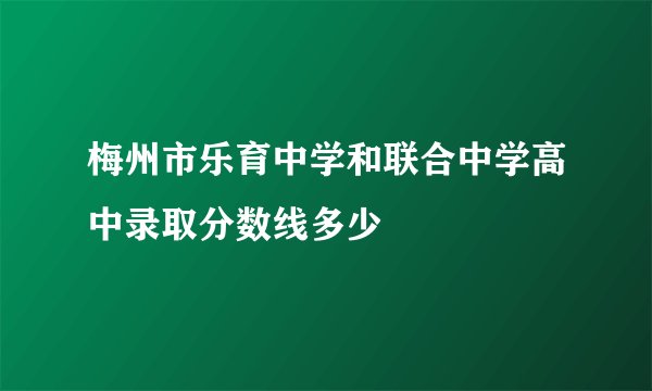 梅州市乐育中学和联合中学高中录取分数线多少