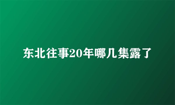东北往事20年哪几集露了