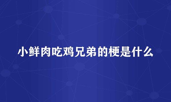 小鲜肉吃鸡兄弟的梗是什么