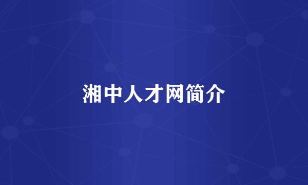 湘中人才网简介