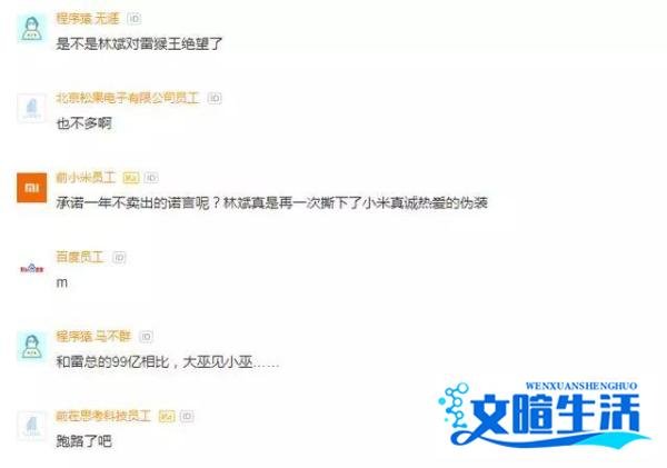 套现用作慈善?小米员工怒斥:林斌不走,小米股票永无出头之日