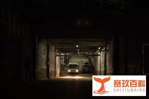 夜车司机的灵异事件,鬼搭车的真实灵异事件