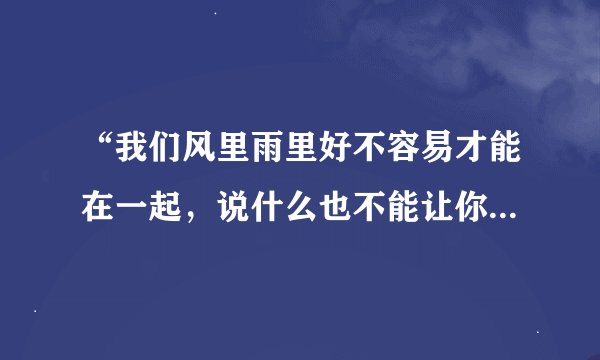“我们风里雨里好不容易才能在一起,说什么也不能让你就这样离去…”这首歌的名字叫啥
