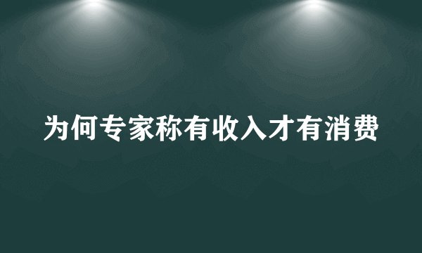 为何专家称有收入才有消费