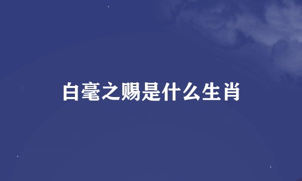 白毫之赐是什么生肖