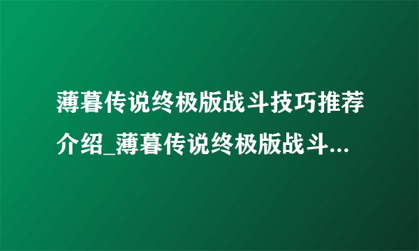 薄暮传说终极版战斗技巧推荐介绍_薄暮传说终极版战斗技巧推荐是什么
