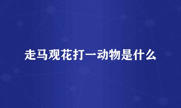 走马观花打一动物是什么