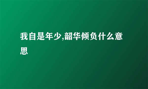 我自是年少,韶华倾负什么意思