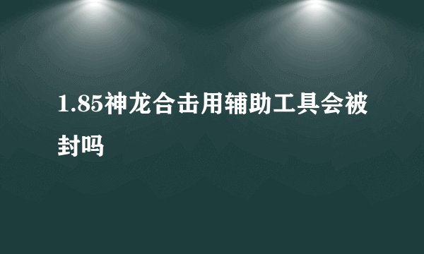 1.85神龙合击用辅助工具会被封吗