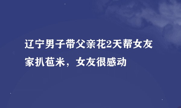 辽宁男子带父亲花2天帮女友家扒苞米，女友很感动