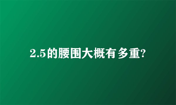 2.5的腰围大概有多重?
