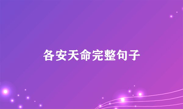 各安天命完整句子