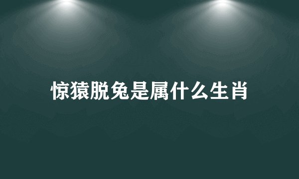惊猿脱兔是属什么生肖
