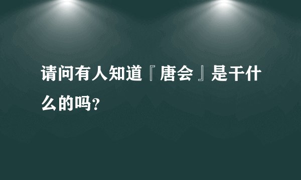 请问有人知道『唐会』是干什么的吗？