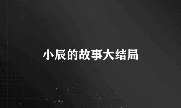 小辰的故事大结局