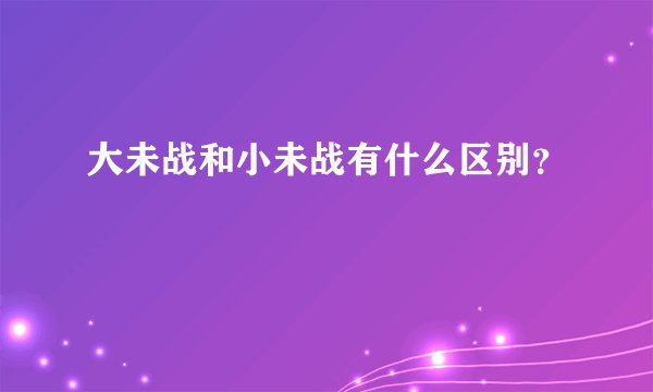 大未战和小未战有什么区别？