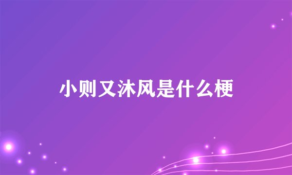 小则又沐风是什么梗