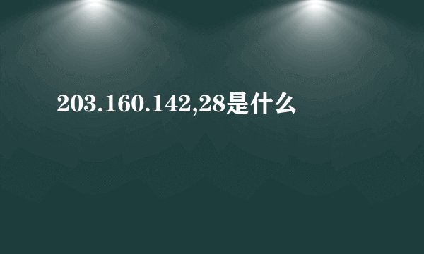 203.160.142,28是什么