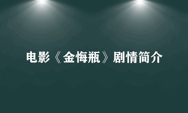 电影《金悔瓶》剧情简介