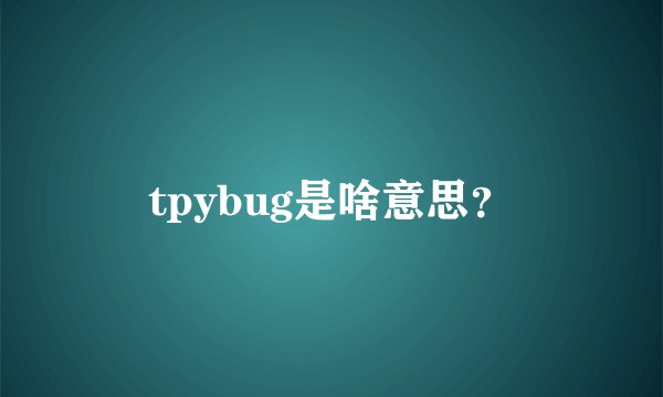 tpybug是啥意思？