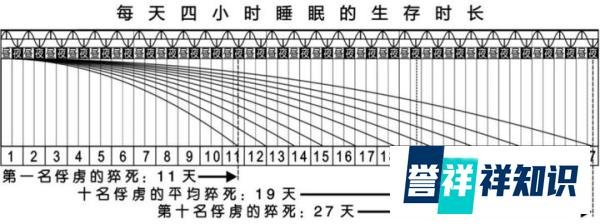 第三节 睡眠剥夺试验