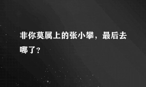 非你莫属上的张小攀，最后去哪了？