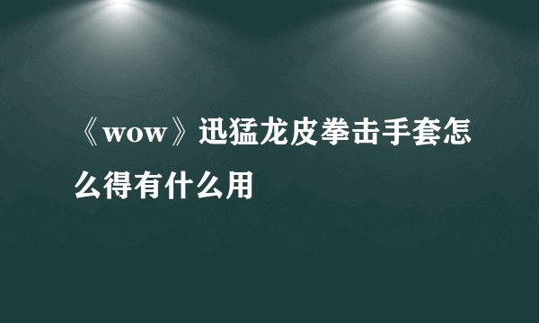《wow》迅猛龙皮拳击手套怎么得有什么用