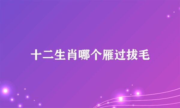 十二生肖哪个雁过拔毛