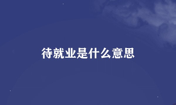 待就业是什么意思