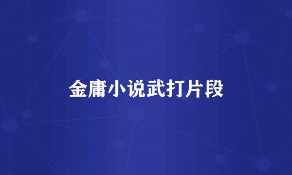 金庸小说武打片段