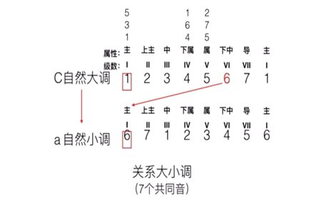 高八度什么意思