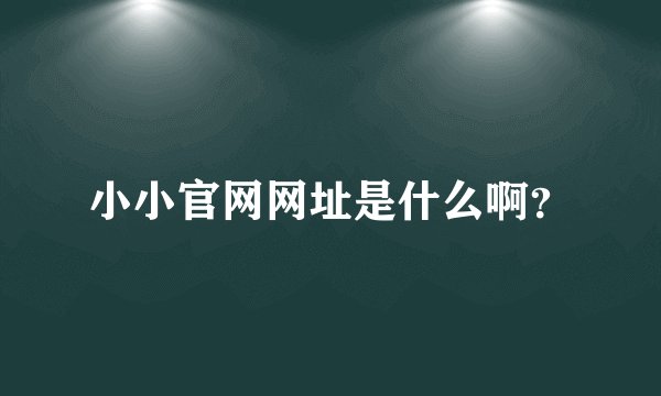 小小官网网址是什么啊？