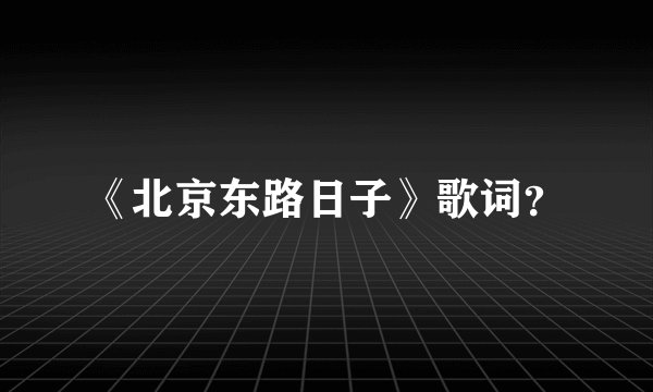 《北京东路日子》歌词?