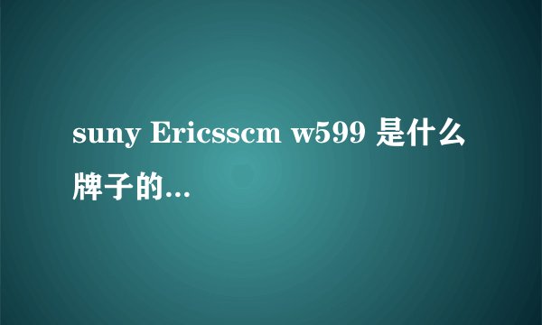 suny Ericsscm w599 是什么牌子的手机.?